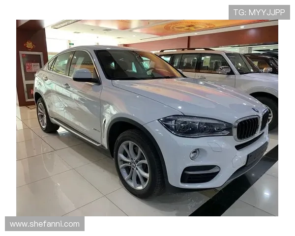 网球点燃梦想 青出于蓝 绽放青春之光 追逐卓越之路 网球点燃梦想 青出于蓝 绽放青春之光 追逐卓越之路