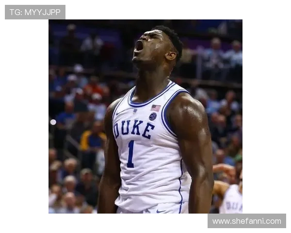 墨尔本NBA球迷商店惊现锡安真人大小乐高模型引发热议 墨尔本NBA球迷商店惊现锡安真人大小乐高模型引发热议