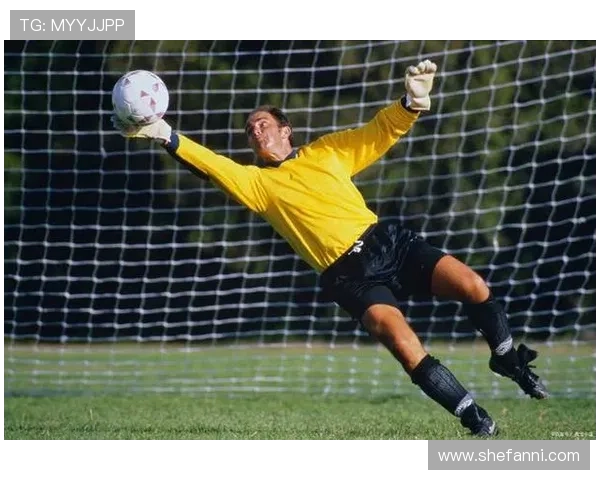 德媒报道IFAB将讨论越位新规与门将持球规则改革方案 德媒报道IFAB将讨论越位新规与门将持球规则改革方案